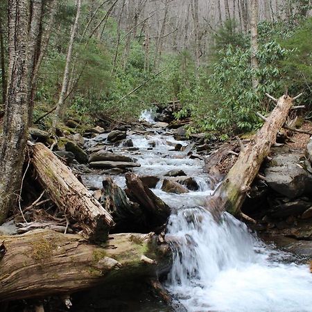 Gorgeous Large Mountain View Cabin W Hot Tub, Free Wifi, Games Villa Sevierville Kültér fotó